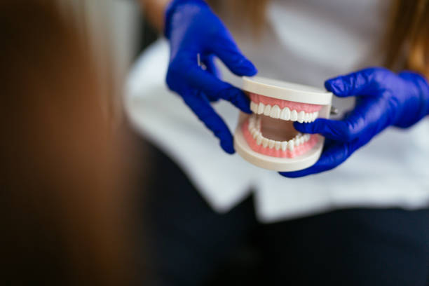 Professional Dental Services in Tullytown, PA